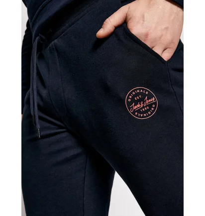 Штаны мужские Jack & Jones Gordon Blue 12165322
