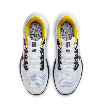 Кросівки чоловічі Nike Air Zoom Pegasus 41 White HJ9068-100