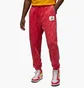 Штаны мужские Air Jordan Essential Statement Fleece Trousers Red Dr3089-612