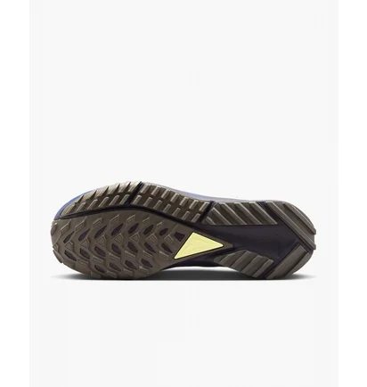 Кросівки чоловічі Nike Pegasus Trail 4 Gore-Tex Running Shoes Brown Fd5841-200
