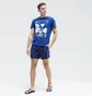 Шорты мужские Nike Swim Essential 5 Blue NESSA560-440