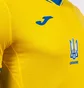 Футболка чоловіча Joma Academy Yellow At102404A907