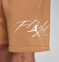 Шорты мужские Air Jordan Essential Fleece Hbr Brown FN4535-231
