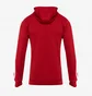 Худі чоловіче Adidas Squadra 21 Hoodie Red GP6435