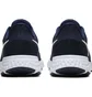 Кроссовки мужские Nike Revolution 5 Blue Bq3204-400