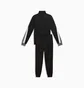 Спортивний костюм чоловічий Puma Essentials Black 691767-01