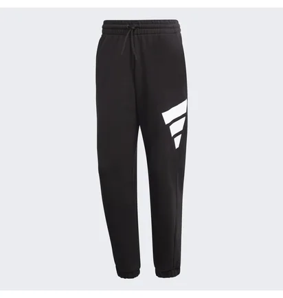 Штаны мужские Adidas Sportswear Future Icons Logo Graphic Pants Black H39796