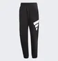 Штаны мужские Adidas Sportswear Future Icons Logo Graphic Pants Black H39796