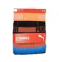 Трусы мужские Puma Worldhood Stripe Trunk Black/Multi (2 шт) 501004001-030