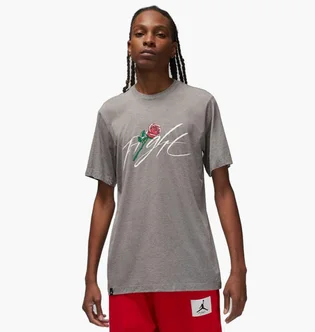 Футболка мужская Air Jordan Brand Sorry Grey Dq7390-091