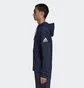 Толстовка мужская Adidas Id Stadium Blue DU1136