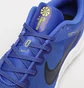 Кросівки чоловічі Nike Downshifter 12 Blue DD9293-402