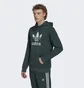 Худи мужское Adidas Adicolor Classics Trefoil Hoodie Green Hk7270