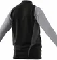 Олимпийка мужская Adidas Jacket Tiro23 C Tr Jkt Black/Grey HU1306
