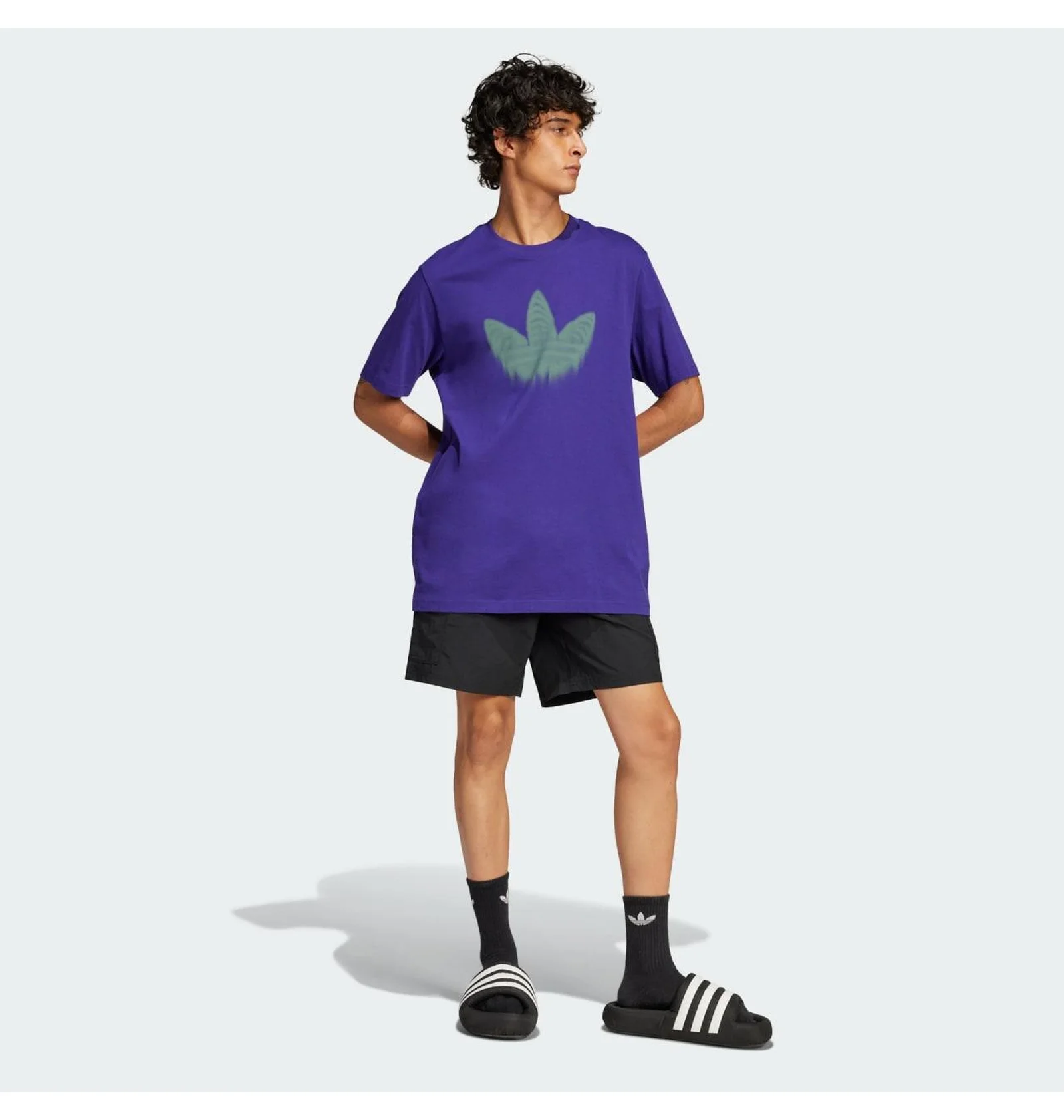 ᐉ Футболка чоловіча Adidas Skeleton Tr Tee Violet JJ0666