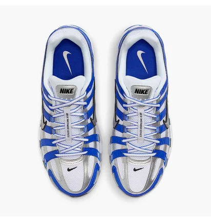 Кросівки чоловічі Nike P-6000 Metallic/Blue CD6404-403
