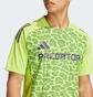 Футболка мужская Adidas Generation Predator Training Jersey Green IT4823