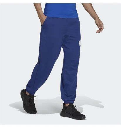 Штаны мужские Adidas Sportswear Future Icons Logo Graphic Pants Blue H39799