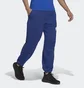 Штаны мужские Adidas Sportswear Future Icons Logo Graphic Pants Blue H39799