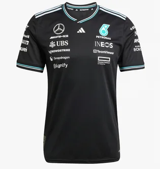 Футболка чоловіча Adidas Mercedes - Amg Petronas Formula One Team Driver Authentic Black JY2607