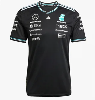 Футболка мужская Adidas Mercedes - Amg Petronas Formula One Team Driver Authentic Black JY2607