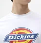 Футболка унісекс Dickies Icon Logo White DK0A4XC9WHX1