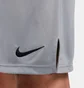 Шорты мужские Nike Dri-Fit Knit Grey DD1887-084
