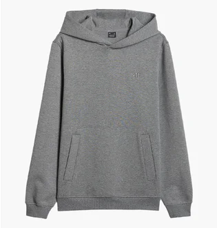 Худи мужское 4F Regular Grey 4FRSS26TSWSM2793-24M