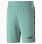 Шорты мужские Puma Essentials+ Tape Turquoise 847387-85