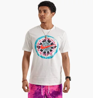 Футболка мужская Nike Oc Festifal White HJ0790-133
