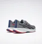 Кросівки чоловічі Reebok Floatride Energy 5 Grey GY0073