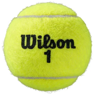 Тенісний м'яч Wilson Roland Garros Clay Ct 3 Green WRT125000