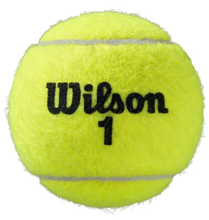 Тенісний м'яч Wilson Roland Garros Clay Ct 3 Green WRT125000