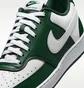 Кросівки чоловічі Nike Court Vision Low Green/White HM9862-300
