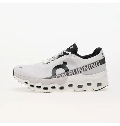 Кросівки чоловічі On M Cloudmonster 2 White 3ME10120664