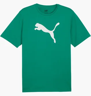 Футболка мужская Puma Teamrise Logo Trainingshirt F05 Green 658705-05