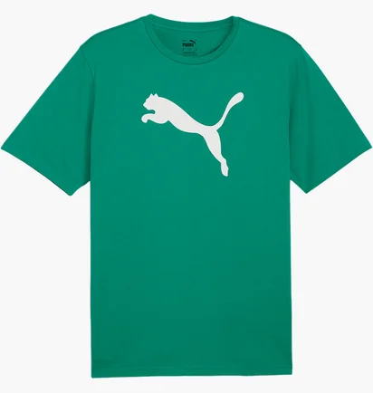 Футболка мужская Puma Teamrise Logo Trainingshirt F05 Green 658705-05