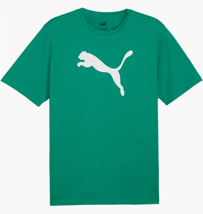 Футболка мужская Puma Teamrise Logo Trainingshirt F05 Green 658705-05