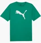 Футболка мужская Puma Teamrise Logo Trainingshirt F05 Green 658705-05
