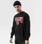 Свитшот мужской Nike Chi M Nk Flc Crew Cts 75 Nba Black DJ2797-010