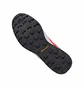 Кроссовки мужские Adidas Terrex Skychaser Lt Gtx Red/Grey EH2426