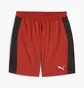 Шорты мужские Puma Run Fav Velocity 7 Running Shorts Red 525005-63
