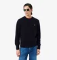 Кофта чоловіча Lacoste Blue AH2916-51-166