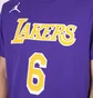 Футболка мужская Nike Nba Los Angeles Lakers Statement Edition Lebron James Violet CV9986-557