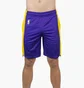Шорти чоловічі Nike Lal Mnk Df Short Pract 18 Violet/Yellow Aj5077-504