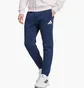 Штаны мужские Adidas Poland Future Icons Blue JF6683