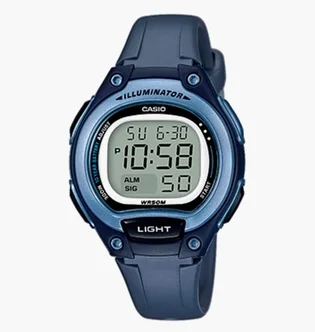 Часы женские Casio Lw-203-2Avef