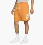 Шорти чоловічі Nike Club Alumni French Terry Orange DX0502-717