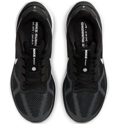 Кросівки жіночі Nike Structure 25 Black DJ7884-001