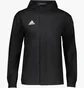 Куртка чоловіча Adidas Entrada 22 Black IK4010